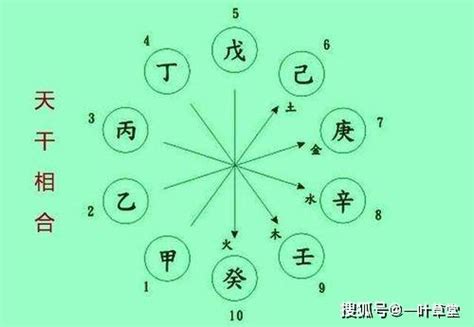 乙庚合化金|八字天干乙庚合化金是什么意思？